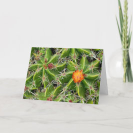 Cactus Blume Card - Gruß anpassen Karte