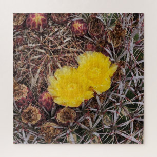 Cactus Blume Foto