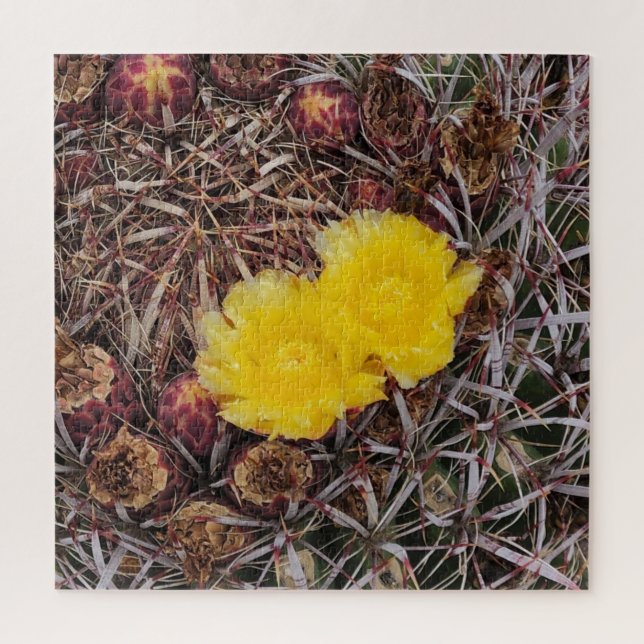Cactus Blume Foto (Vertikal)