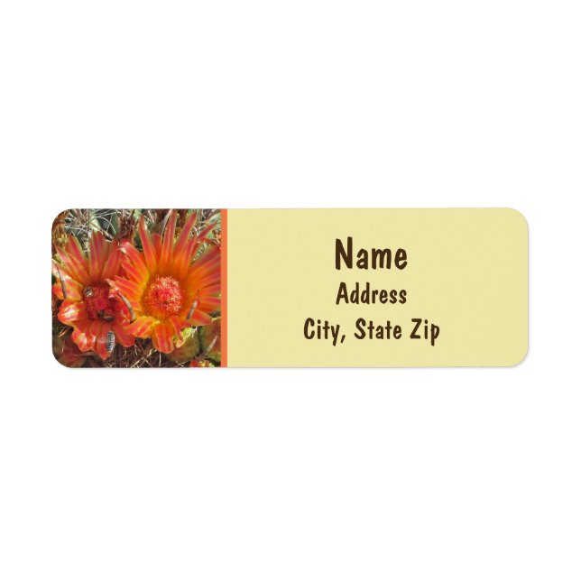 Cactus Blume Foto Bright Orange Floral (Vorne)