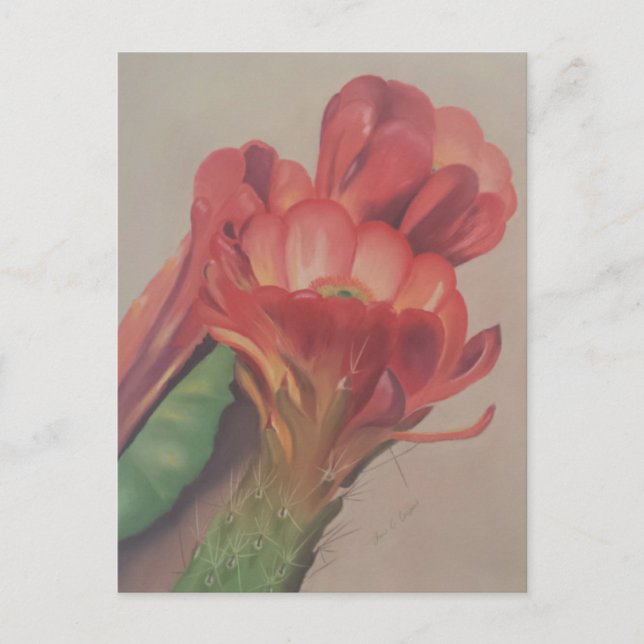 Cactus Blume Postcard Postkarte (Vorderseite)