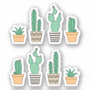 Cactus cacti sukkulente Aufkleber
