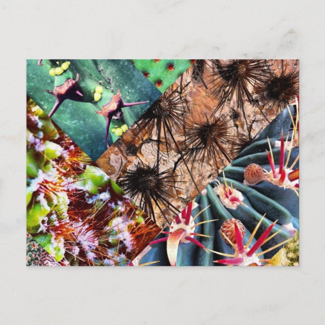Cactus Collage Postcard Postkarte (Vorderseite)