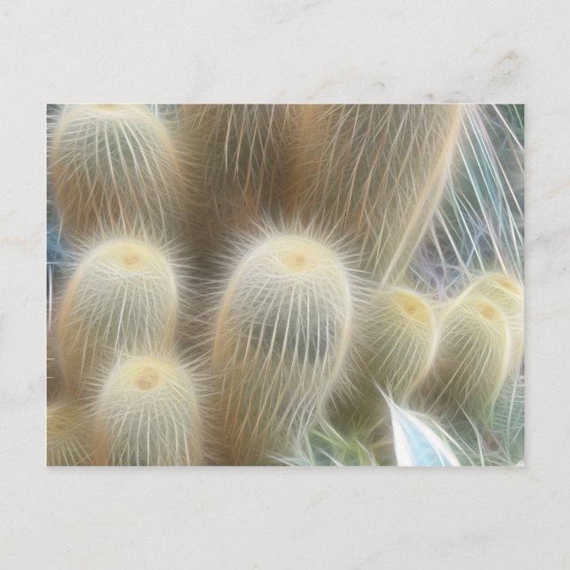 Cactus Color Lines Postkarte (Vorderseite)