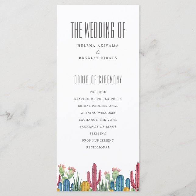 Cactus colorés | Thème Désert | Programme de maria (Devant)