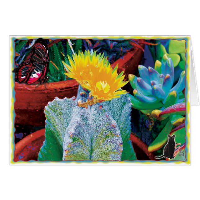 Cactus de Caliente (Devant horizontal)