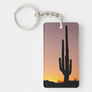 Cactus de Saguaro au coucher du soleil