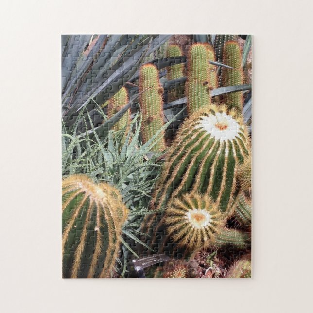 Cactus Désert Arid Garden Nature Puzzle (Vertical)