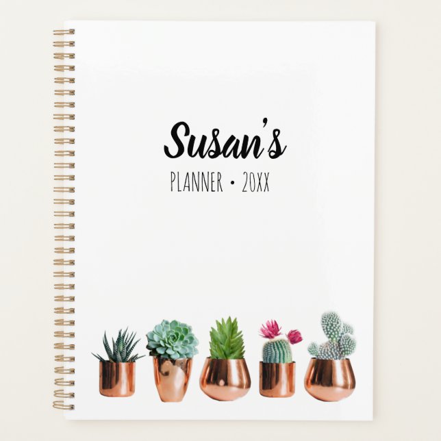 Cactus et succulents dans des pots d'or Roses (Devant)