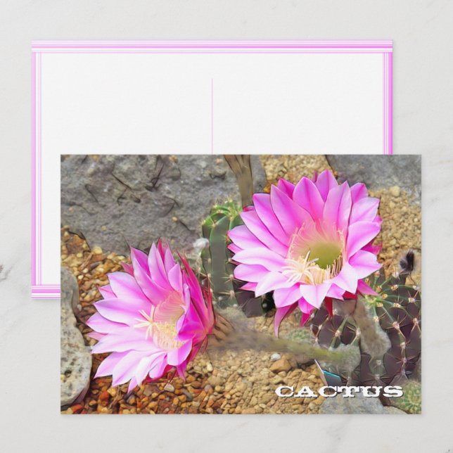 Cactus: Flat Card (Vorne/Hinten)