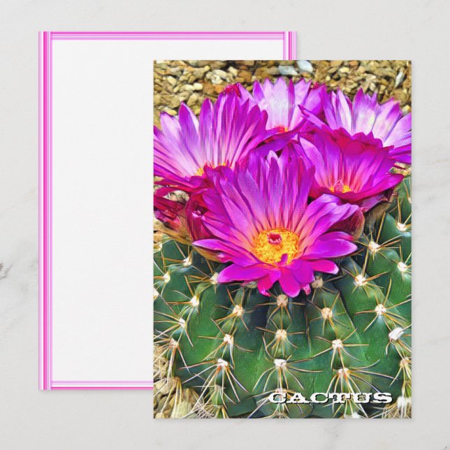 Cactus: Flat Card (Vorne/Hinten)