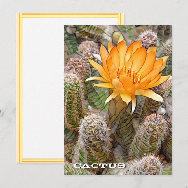 Cactus: Flat Card (Vorne/Hinten)