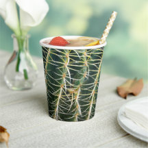 Cactus Funny Uncomfort Needles Arid Pflanze Papa