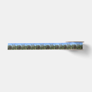Cactus Garden Satinband