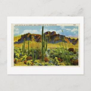 Cactus géant dans le désert Carte postale Vintage