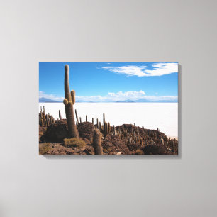 Cactus géant sur la toile du Salar de Uyuni