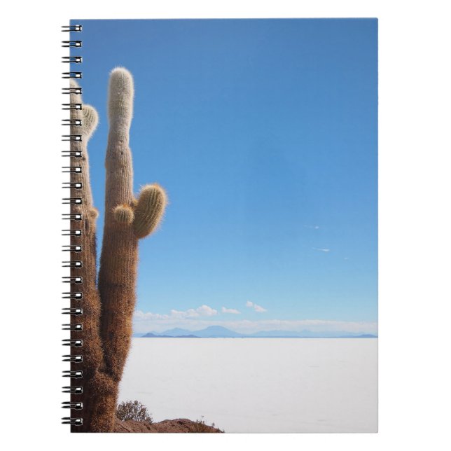 Cactus géant sur le carnet de Salar de Uyuni (Devant)