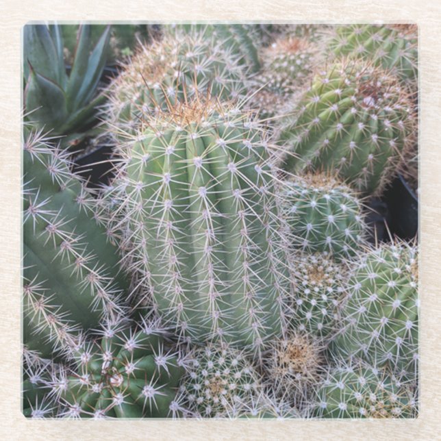 Cactus Glass Untersetzer (Vorderseite)