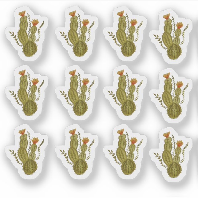 Cactus Hand Painted Elegant Greenerity Pflanze Aufkleber (Vorderseite)