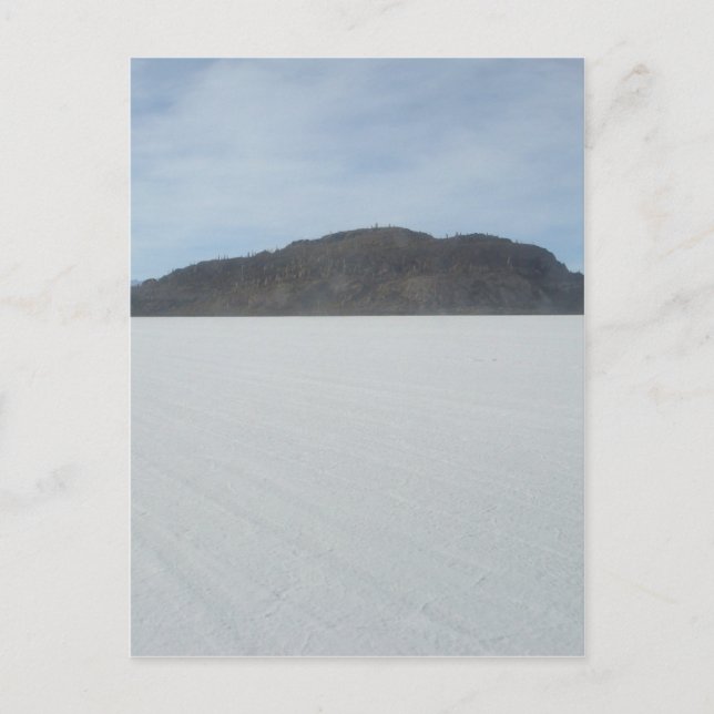 Cactus Island Postkarte (Vorderseite)