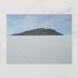 Cactus Island Postkarte