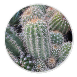 Cactus Keramik Pull Keramikknauf