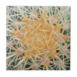 Cactus Keramik Tile Fliese