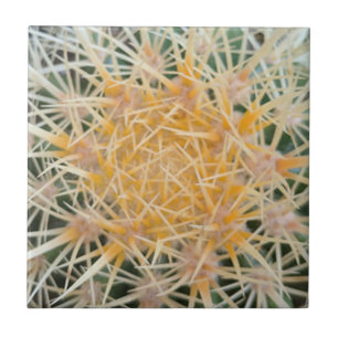 Cactus Keramik Tile Fliese