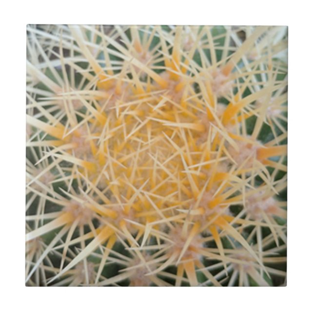 Cactus Keramik Tile Fliese (Vorderseite)