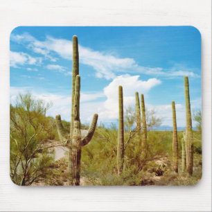 Cactus landesforst blue sky mousepad
