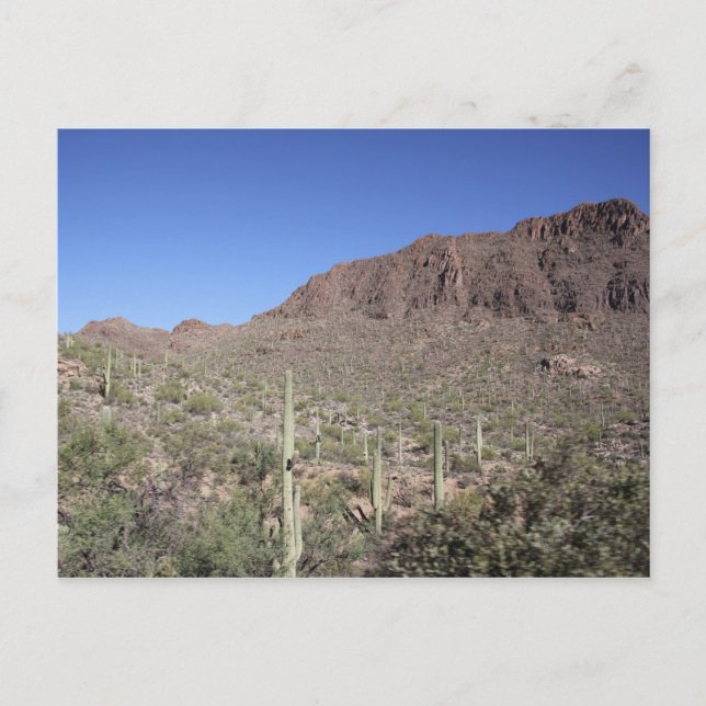 Cactus Landscape Postkarte (Vorderseite)