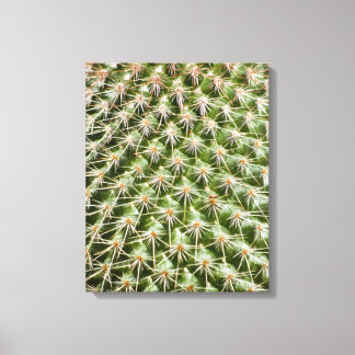 Cactus Macro Fotografy Leinwanddruck