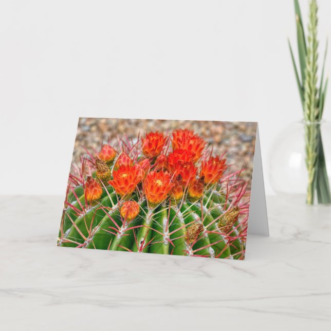 Cactus Notecard - Blüten von Arizona Karte (Vorderseite)