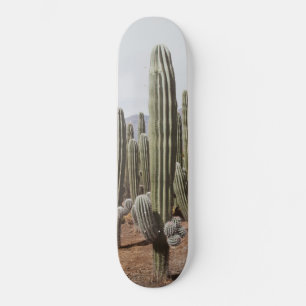 Cactus Oasis #1 #wall #decor #art Skateboard