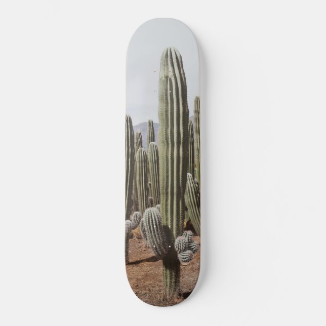 Cactus Oasis #1 #wall #decor #art Skateboard (Vorderseite)