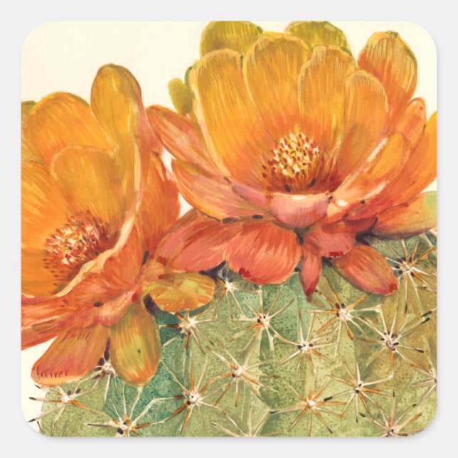 Cactus Orange Blossoms Quadratischer Aufkleber (Vorderseite)
