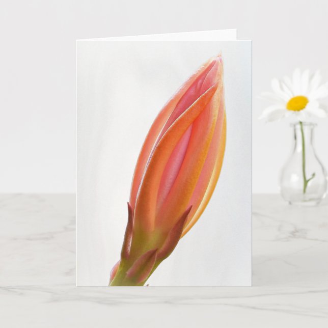Cactus Orchid Bud Orange Blume Art Note Card Karte (Kleine Pflanze)