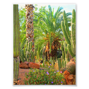 Cactus, paumes et fleurs - copie de photo (5x7)
