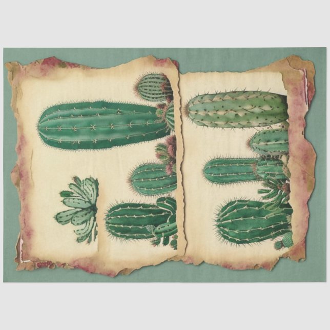 Cactus Pflanze Ephemera Collage Art Nr. 2 Seidenpapier (Vorderseite)