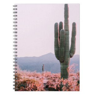 CACTUS-PFLANZE NEBEN ORANGE LEAFTER PFLANZE NOTIZBLOCK