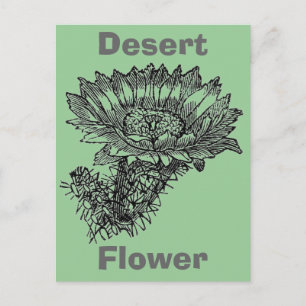 Cactus Postcard Postkarte