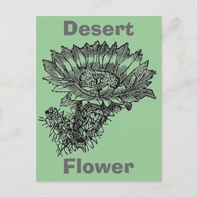 Cactus Postcard Postkarte (Vorderseite)