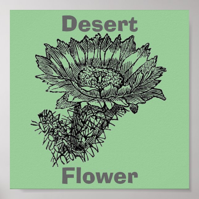 Cactus Poster (Vorne)