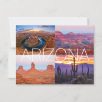 Cactus Red Rock Sunset Nature Landscapes Arizona