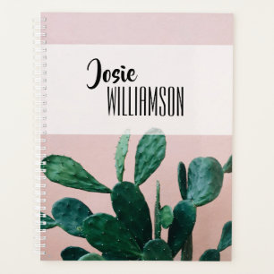 Cactus rose moderne