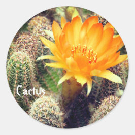 Cactus:Round Seal Runder Aufkleber