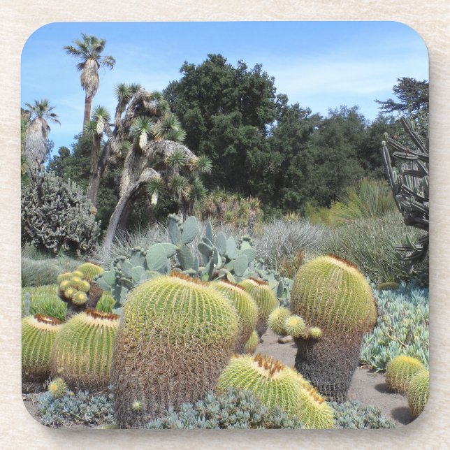 Cactus Scene Untersetzer (Vorderseite)