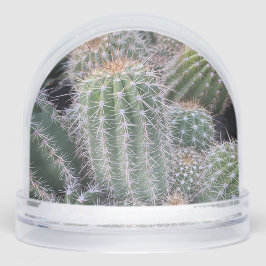 Cactus Snow Globe Schneekugeln