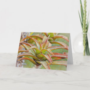 Cactus succulent Aloe Art Note Card Karte