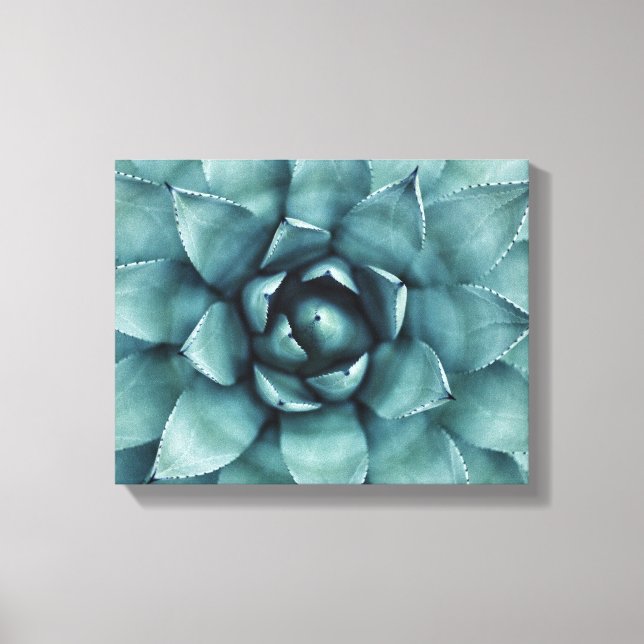 Cactus succulent Cacti Leinwand Art (Vorderseite)